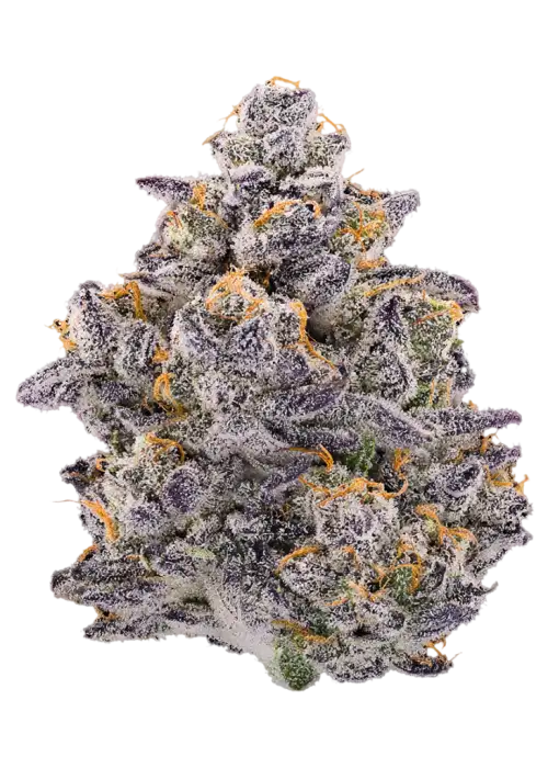 Lemon Cherry Face