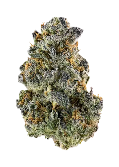 Peach Wreck