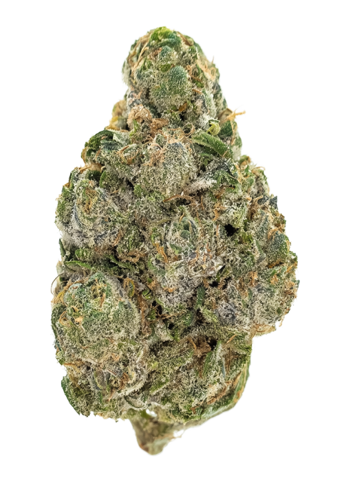 Dulce De Papaya by Nine Weeks Harvest