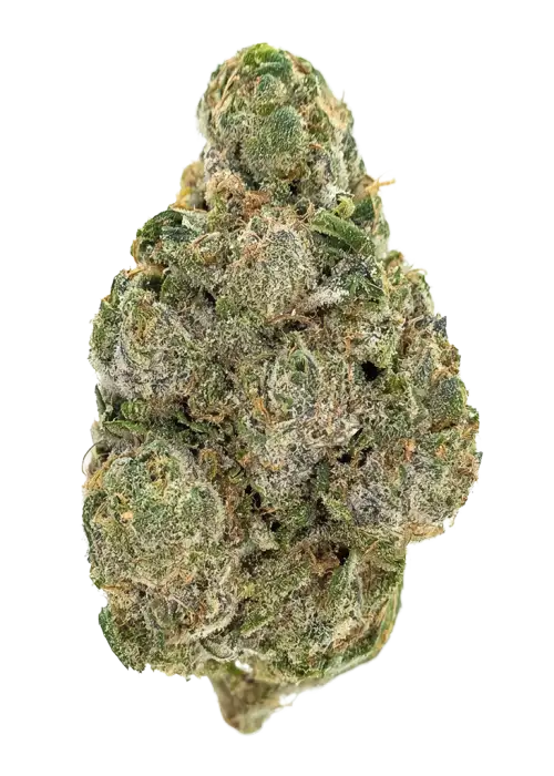 Dulce De Papaya by Nine Weeks Harvest