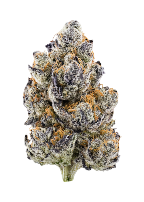 Rapper Weed