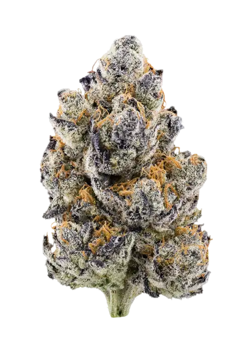 Rapper Weed