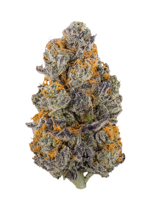 Highlighter by LIT Farms