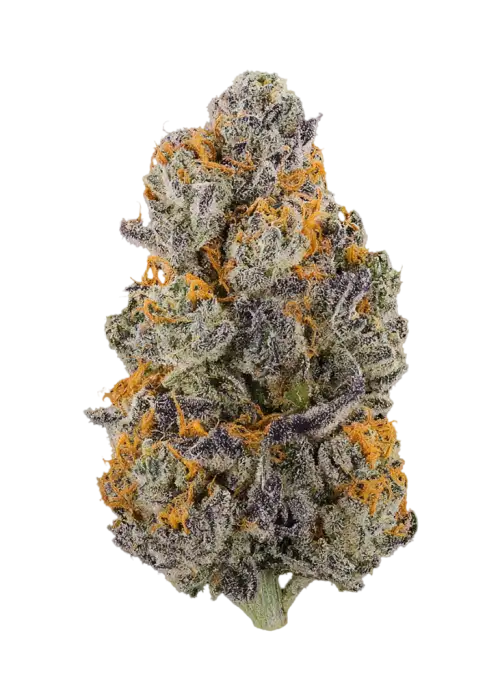 Highlighter by LIT Farms