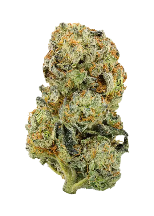 White Stilton Gold
