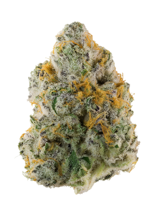 Neon Mango
