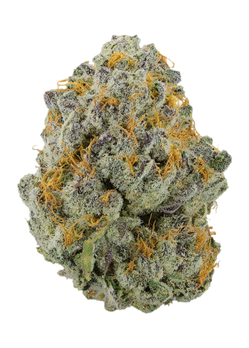 Aloha Breath