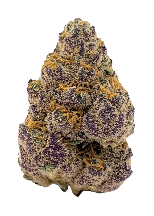 Sour Cherries