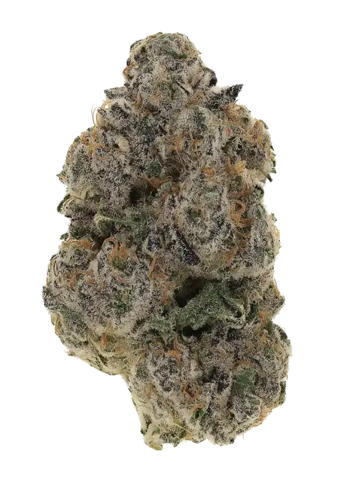 Octane Candy
