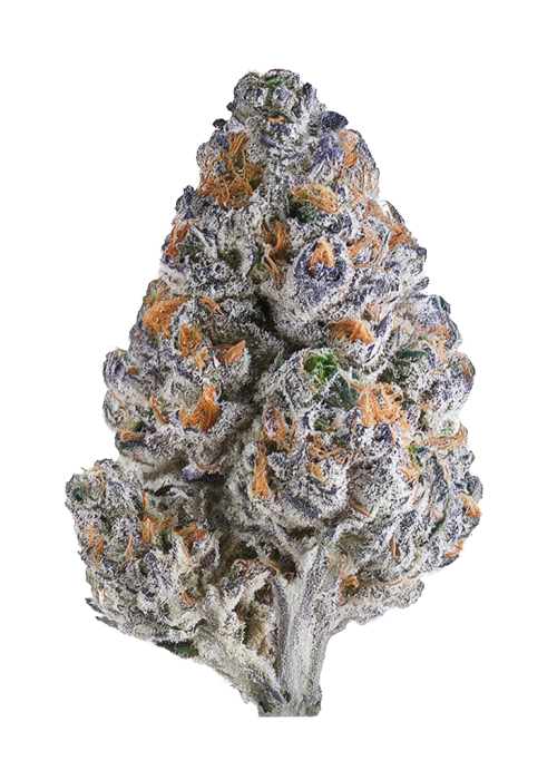 Fruit by the Foot by Beleaf Cannabis