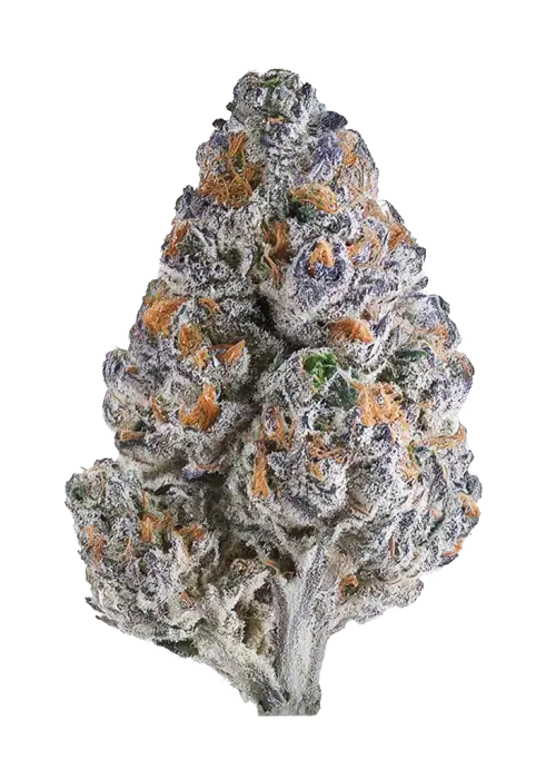 Fruit by the Foot by Beleaf Cannabis