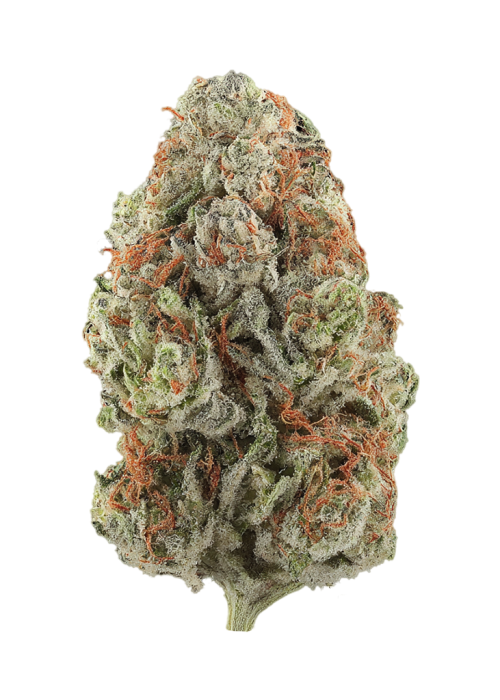 Pina Gummy