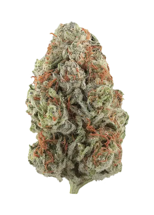 Pina Gummy