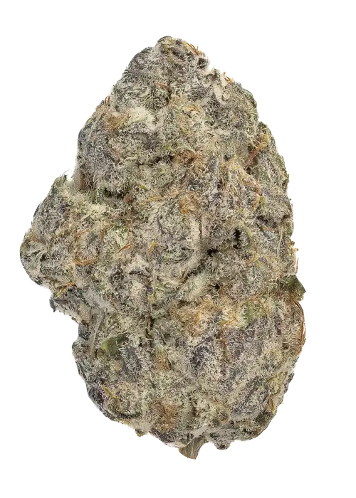 Koosh the Magic Dragon #8