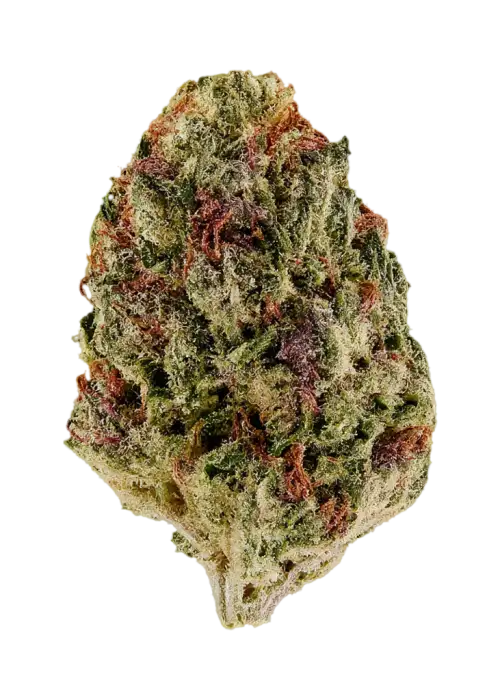 Sour Octane