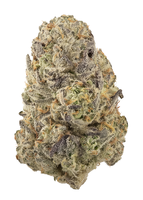 Platinum Paradise