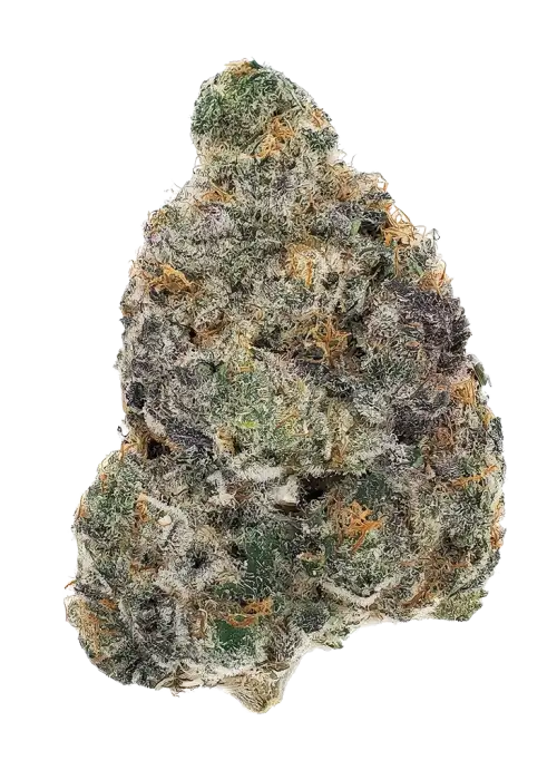 Pyscho Jordan