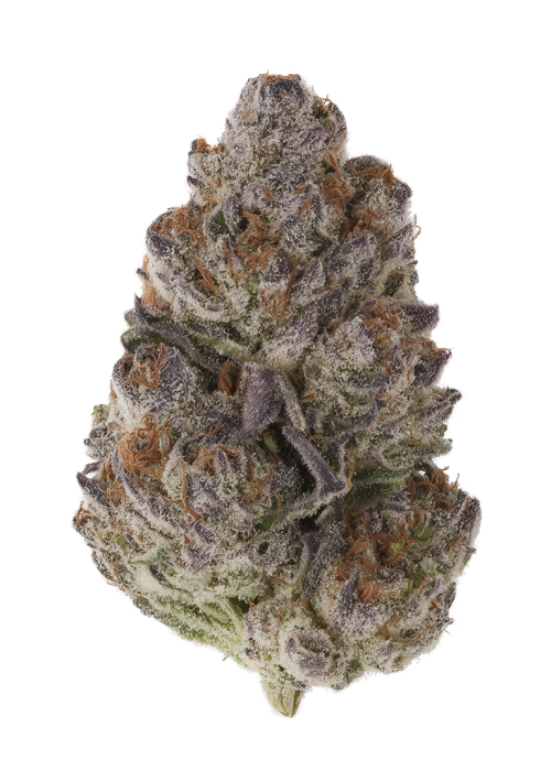 Truffmosa R1
