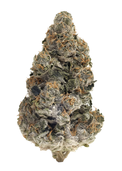 Peach Cooler by Teds Budz