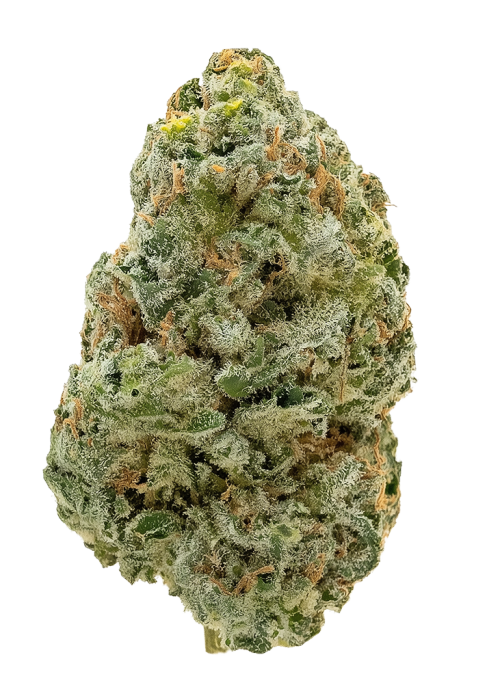 Deadhead OG x Tom Hill Haze