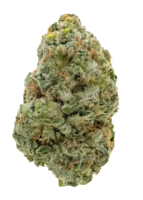 Deadhead OG x Tom Hill Haze