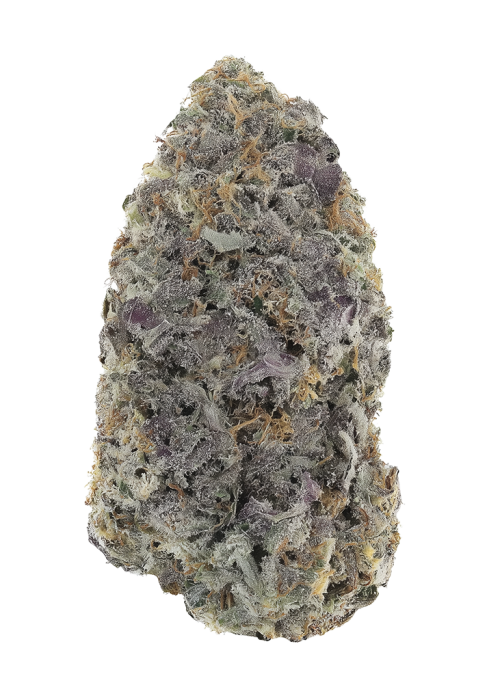 Strawberry Biscotti by Humboldt DNA