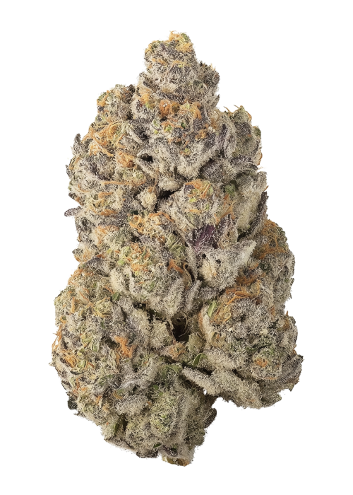 Mahalo Marshmallow by Nimbus