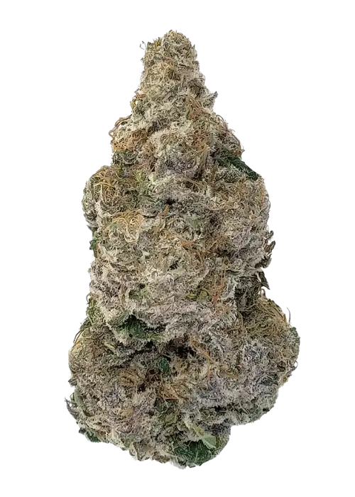 Ethanol #33