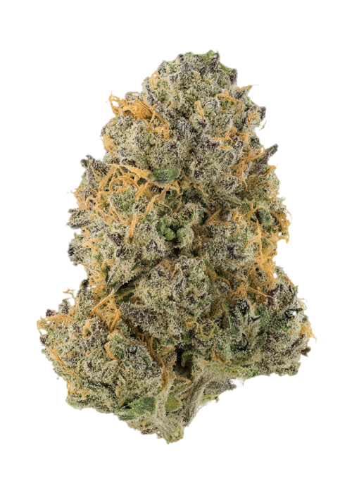 Maui S1