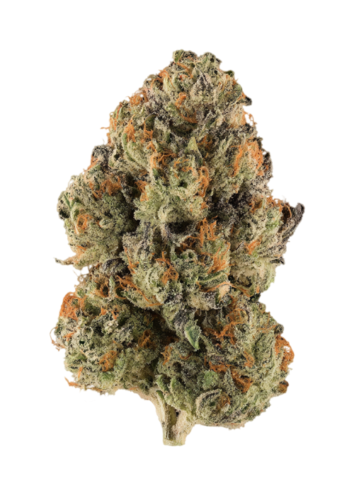 Maui Mana