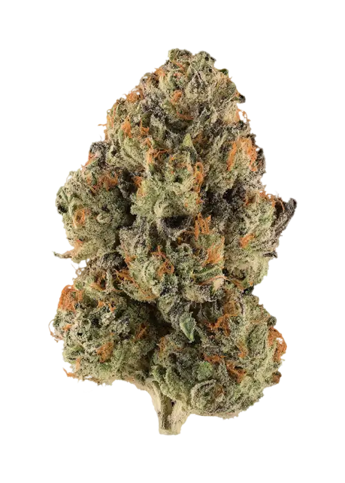 Maui Mana