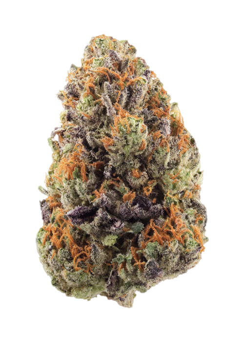 Purple Moon by Decibel Gardens