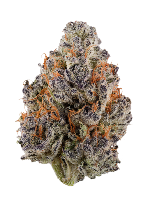 Lavander Lemonade