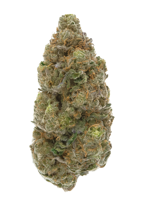 Nebula by Wizard Trees