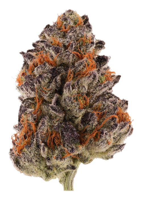 Blue Cola