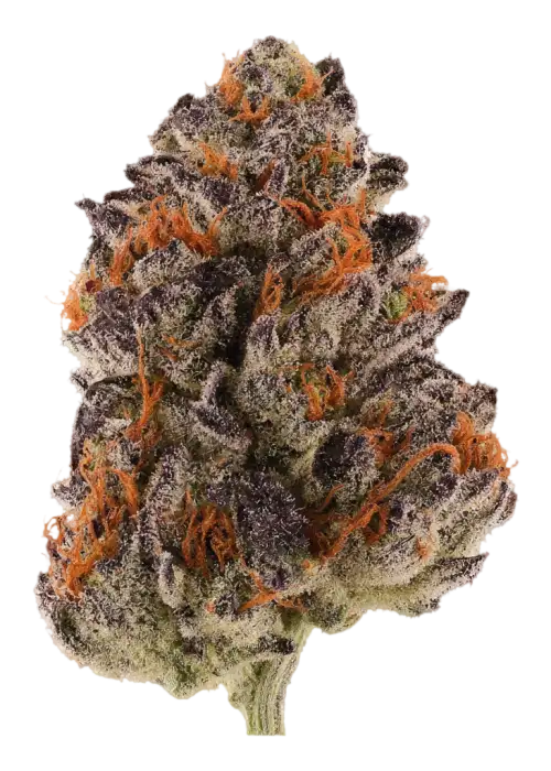 Blue Cola