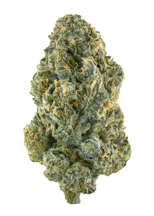 Watermelon Mimosa by LIT Farms