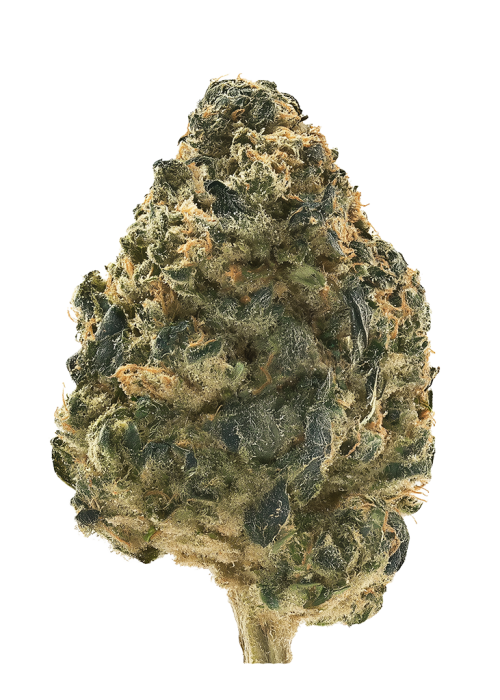 Fresh Squeezed OG