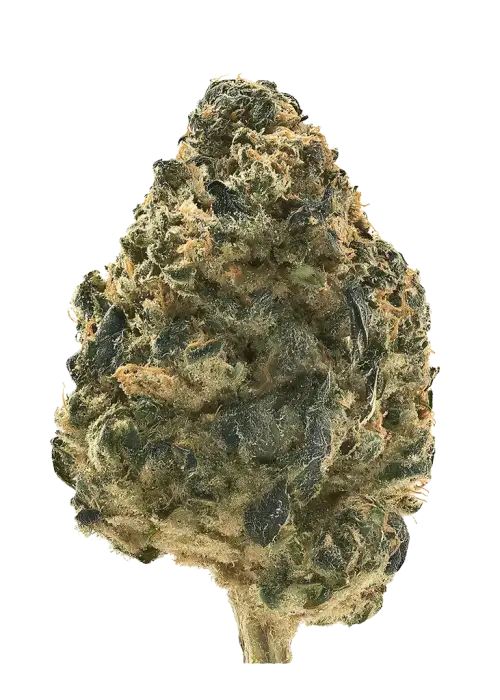 Fresh Squeezed OG