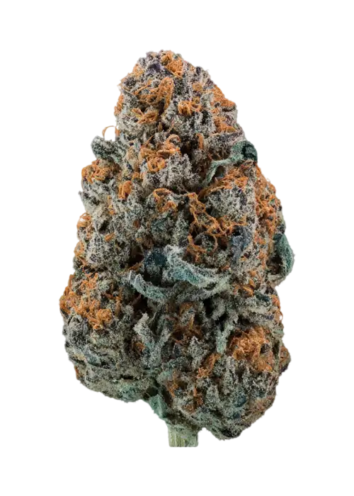 Blue Bacio