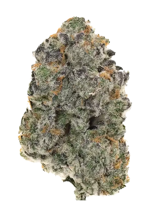 Grape Goblin