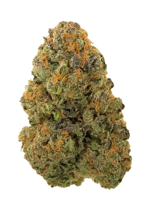Zookz