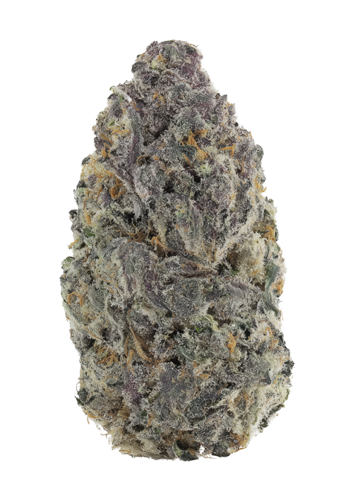 Cherry Fade