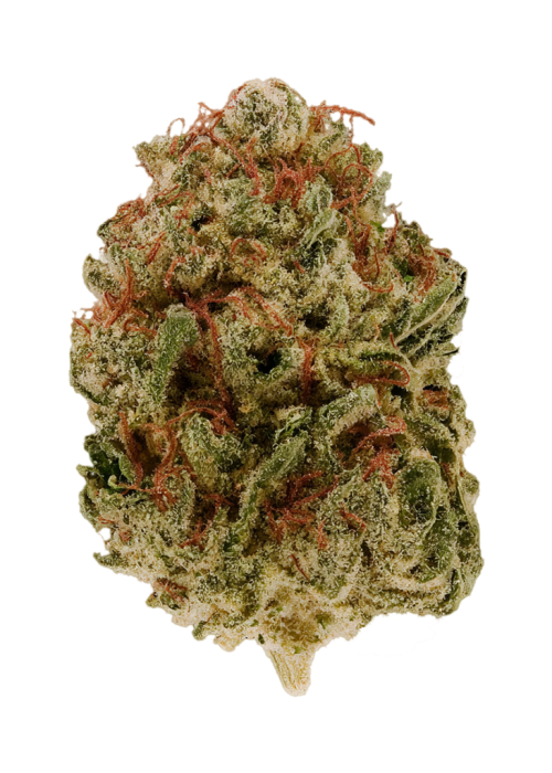 Nuclear Level Sour