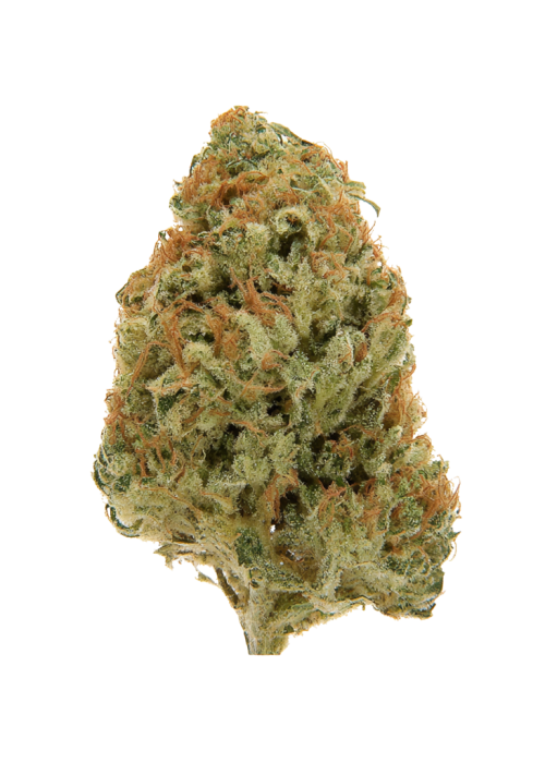 Sweet Cheese™