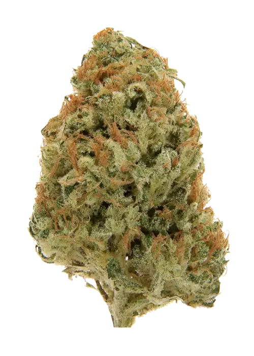 Sweet Cheese™