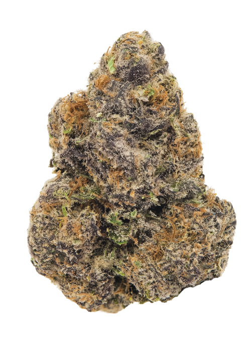 Midnight Bubba