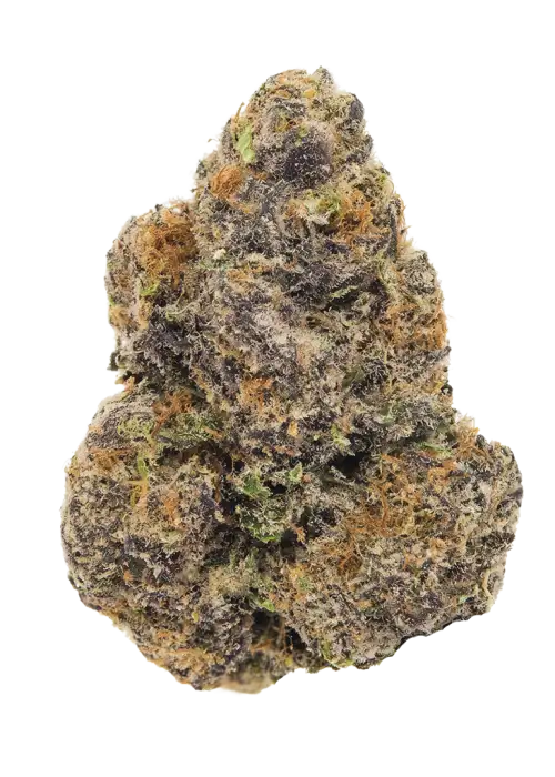 Midnight Bubba