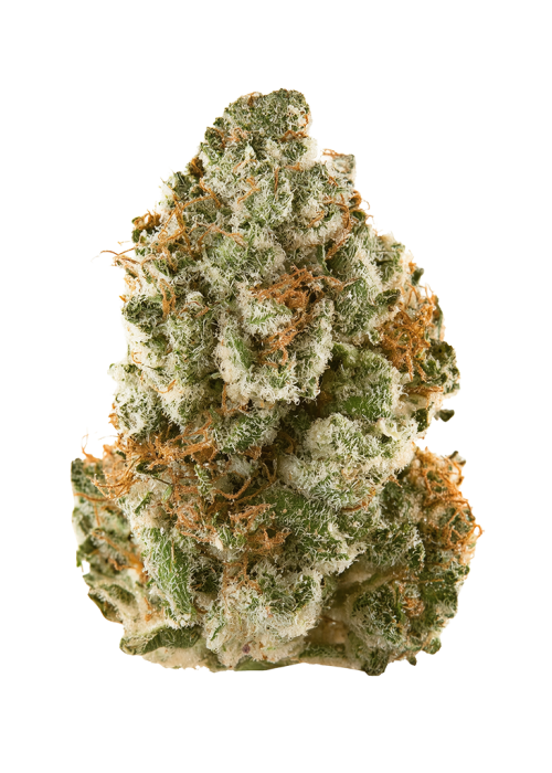 Kaleidorope