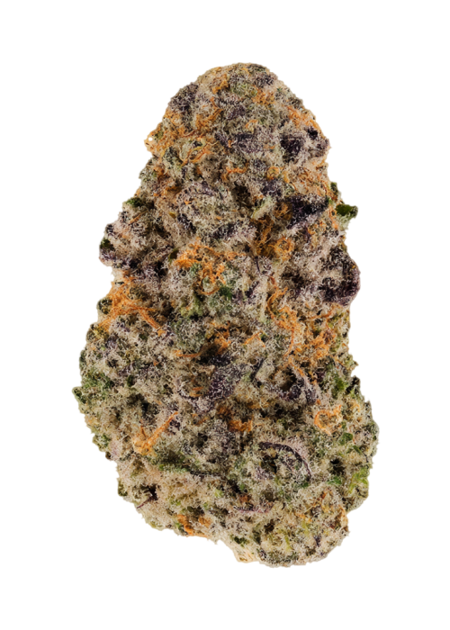 Jelly Donut by Raw Genetics